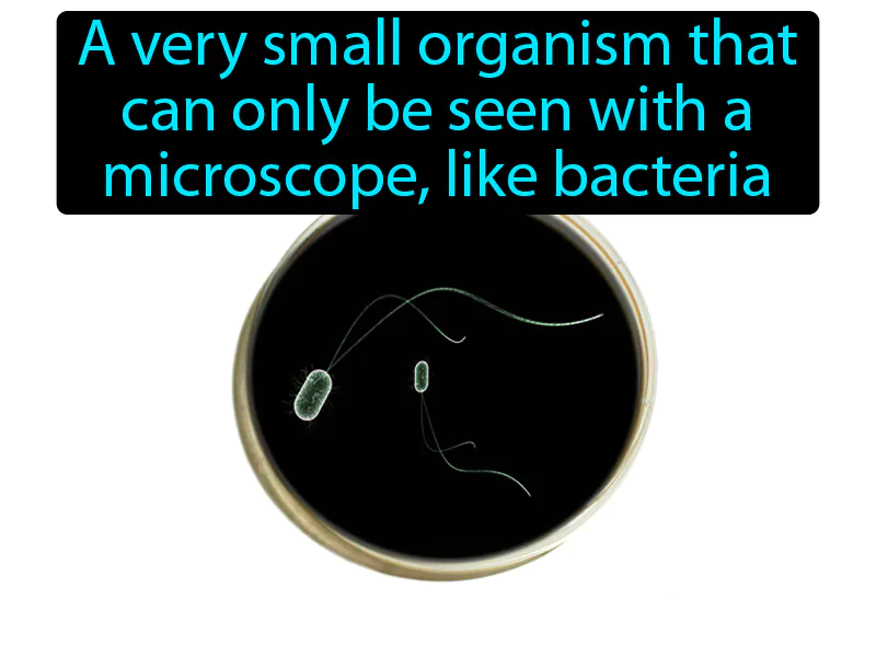 Microorganism Definition