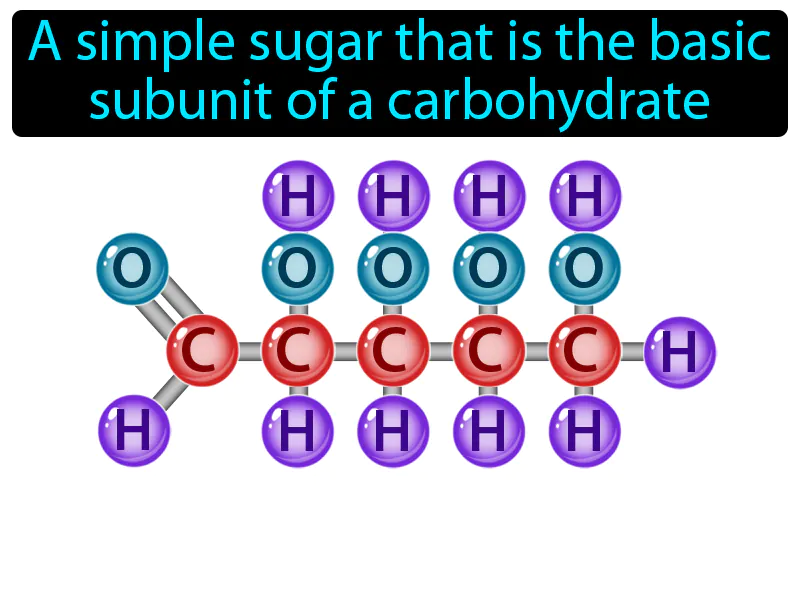 Monosaccharide Definition