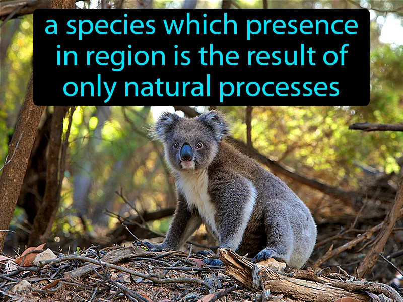 Native species Definition