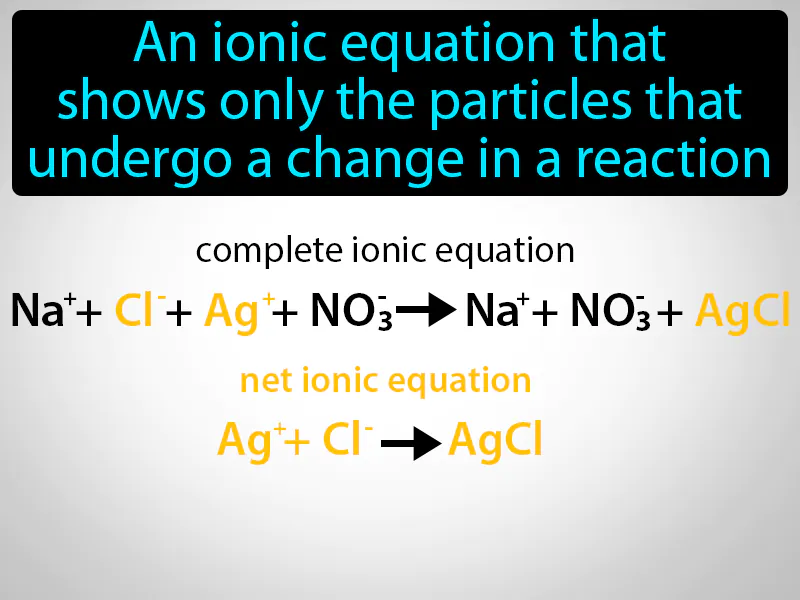 Net ionic equation Definition