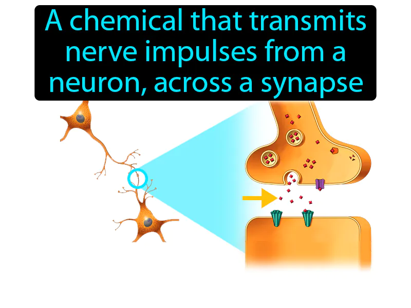 Neurotransmitter Definition