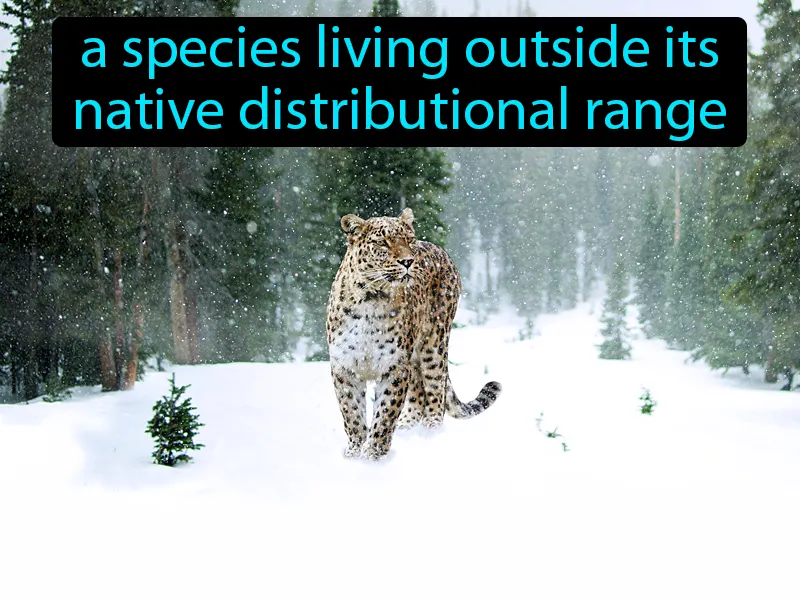 Non-native species Definition