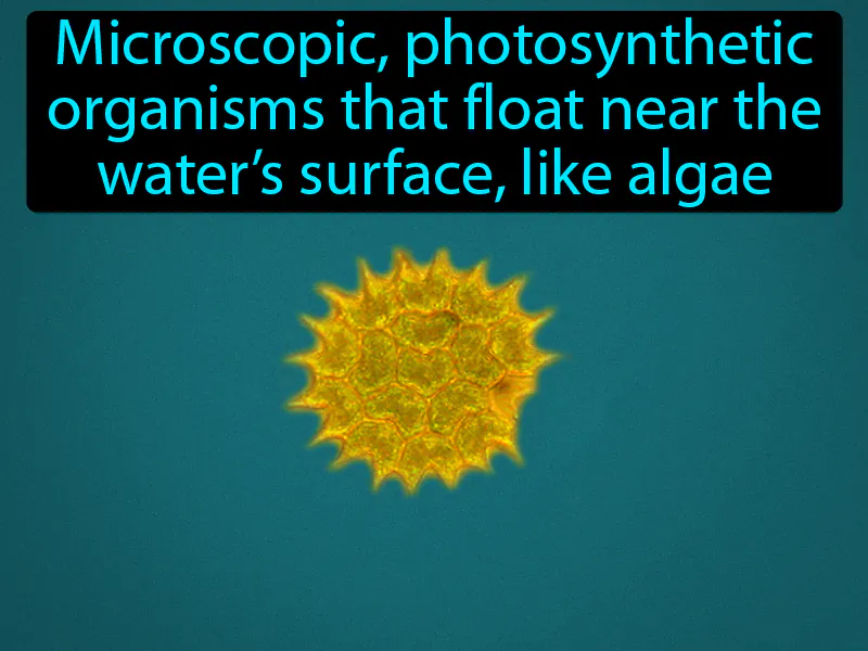 Phytoplankton Definition