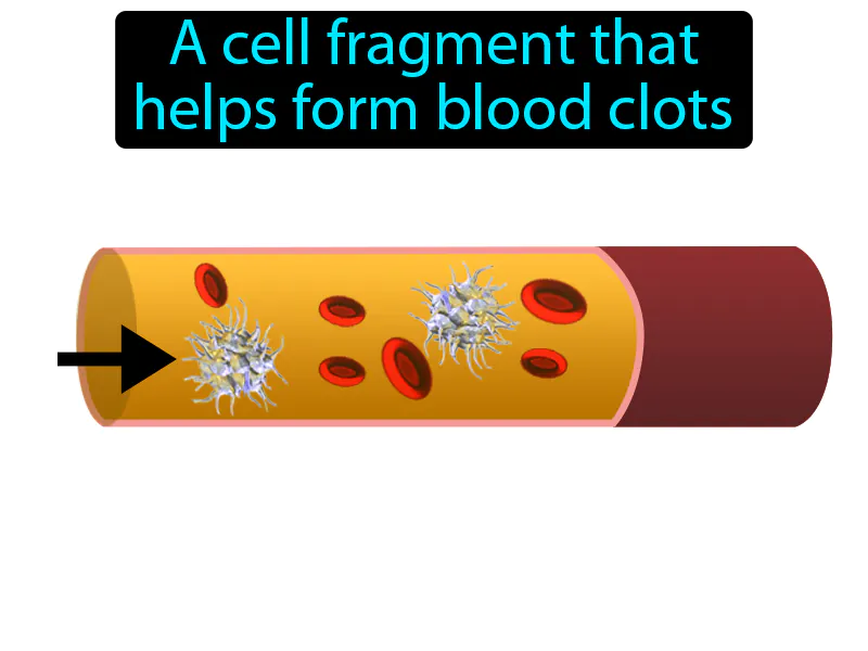 Platelet Definition