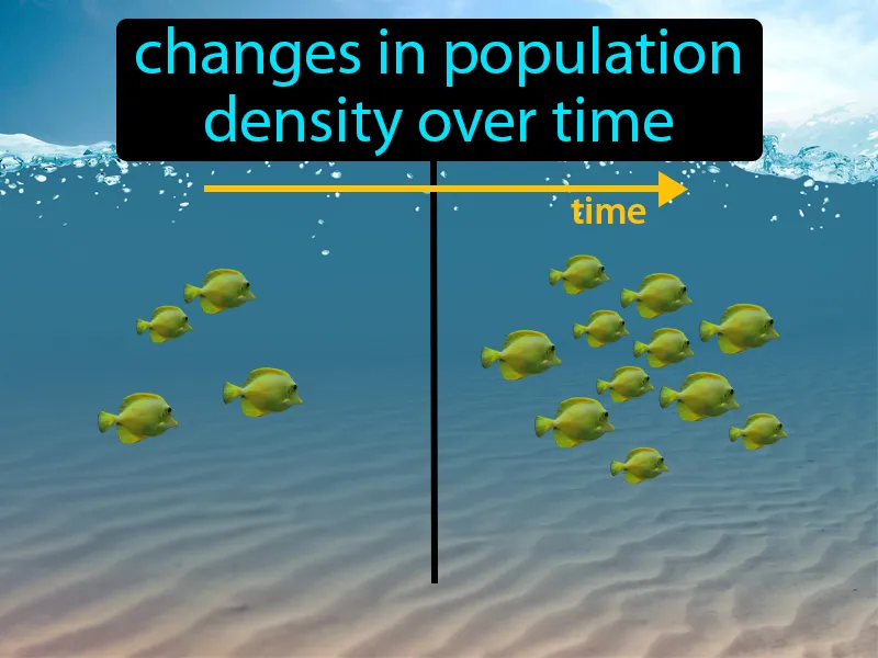 Population dynamics Definition