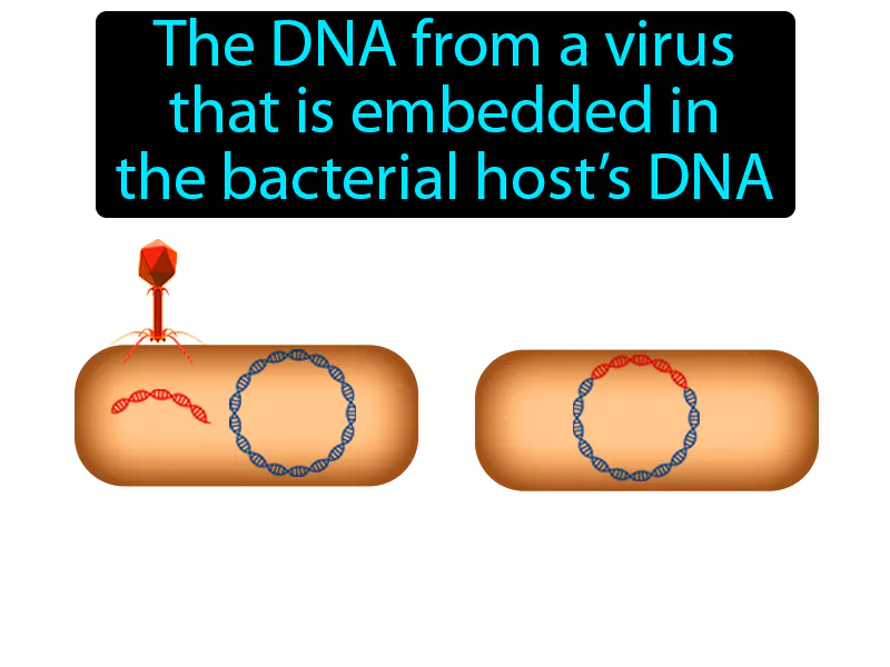 Prophage Definition