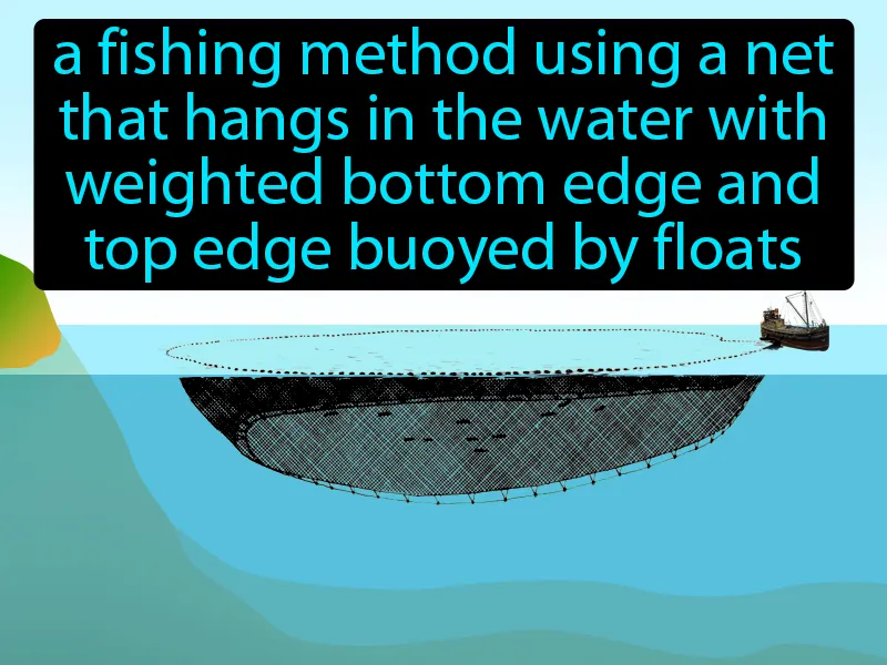 Purse Seine Definition