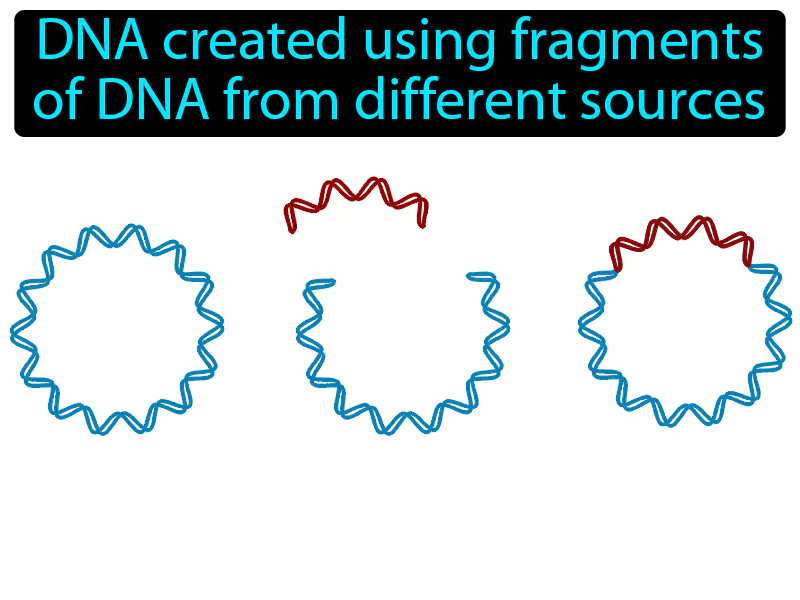 Recombinant DNA Definition