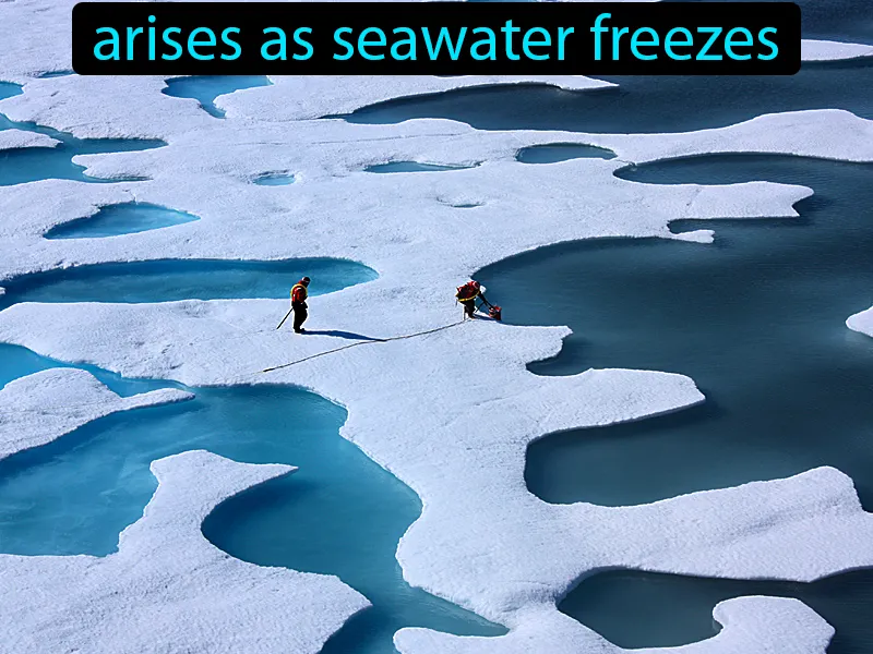 Sea ice Definition