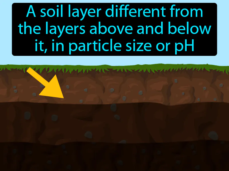 Soil horizon Definition