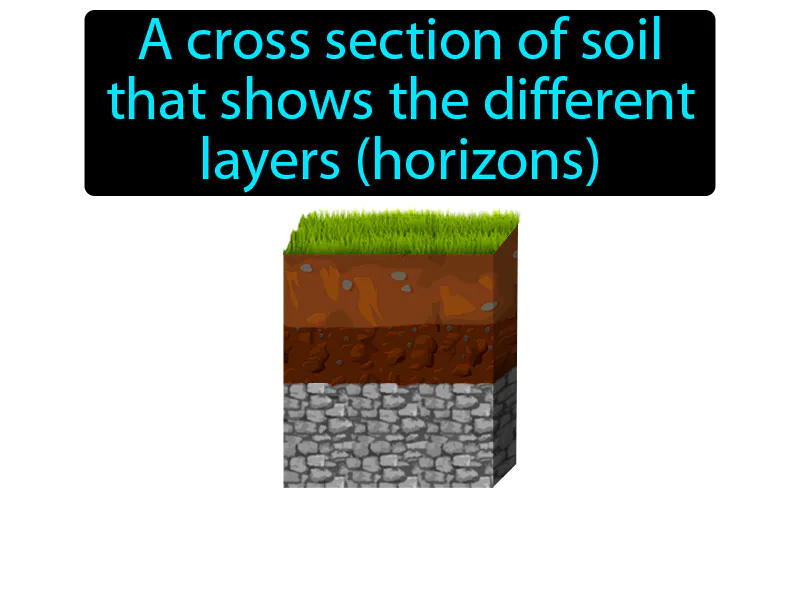 Soil profile Definition