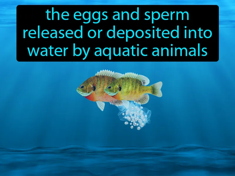 Spawning Definition