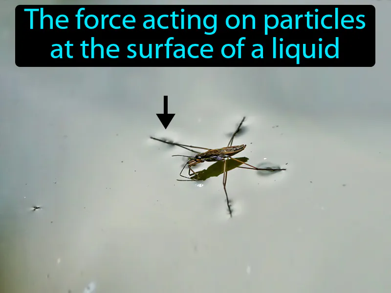 Surface tension Definition