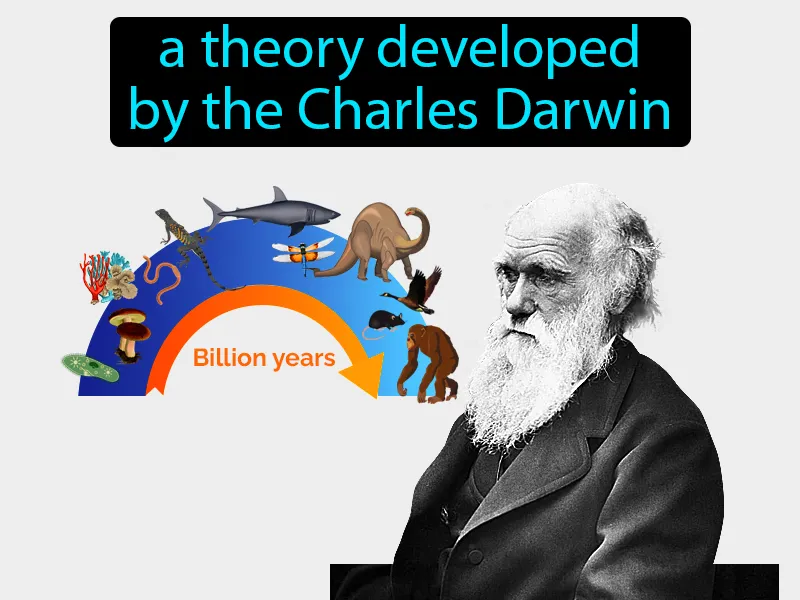 Theory of evolution Definition