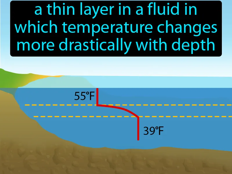 Thermocline Definition