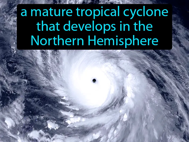 Typhoon Definition