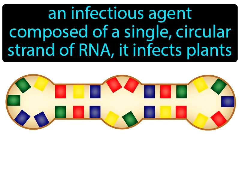 Viroid Definition