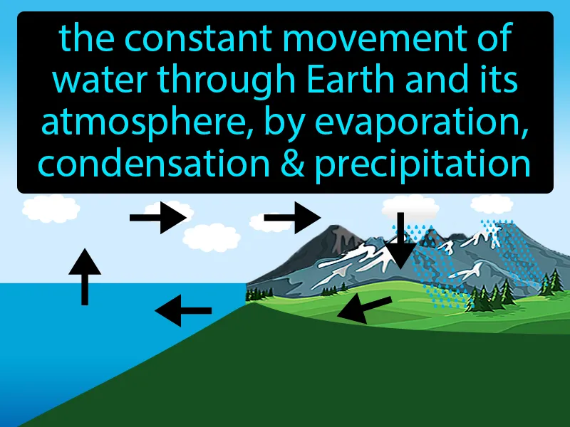 Water cycle Definition
