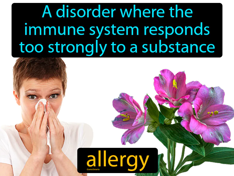 Allergy Definition