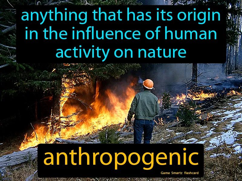 Anthropogenic Definition