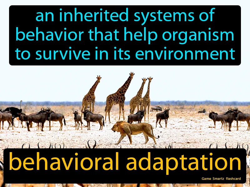 Behavioral adaptation Definition