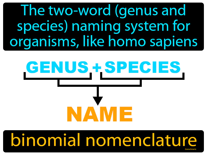 Binomial nomenclature Definition