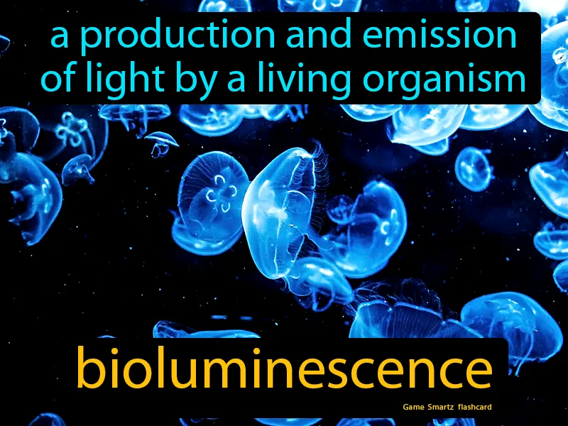 Bioluminescence Definition