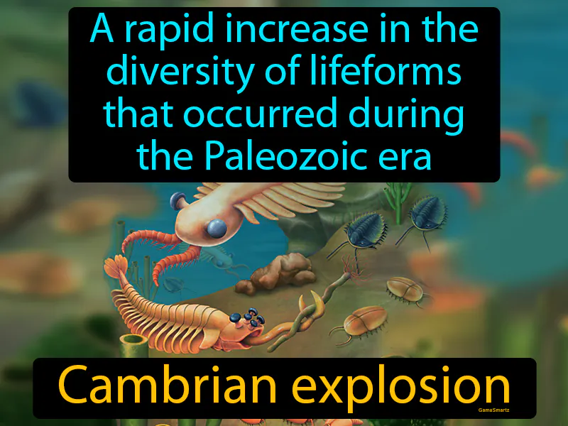 Cambrian explosion Definition