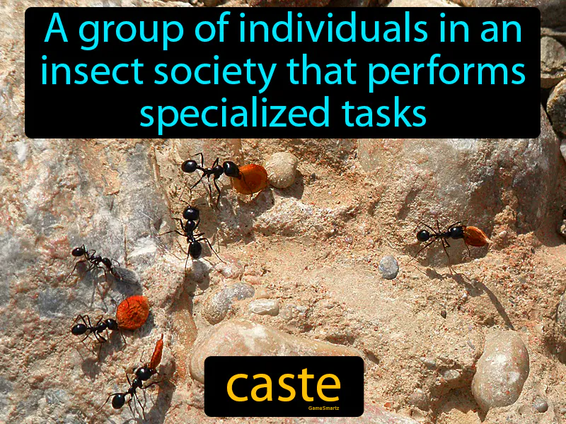 Caste Definition