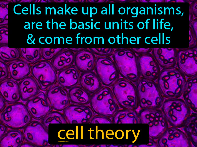Cell theory Definition