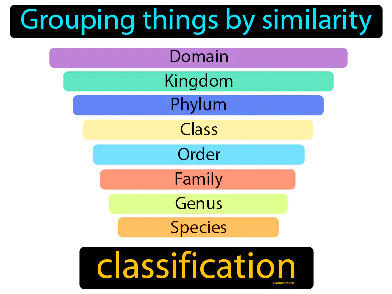 Classification Definition