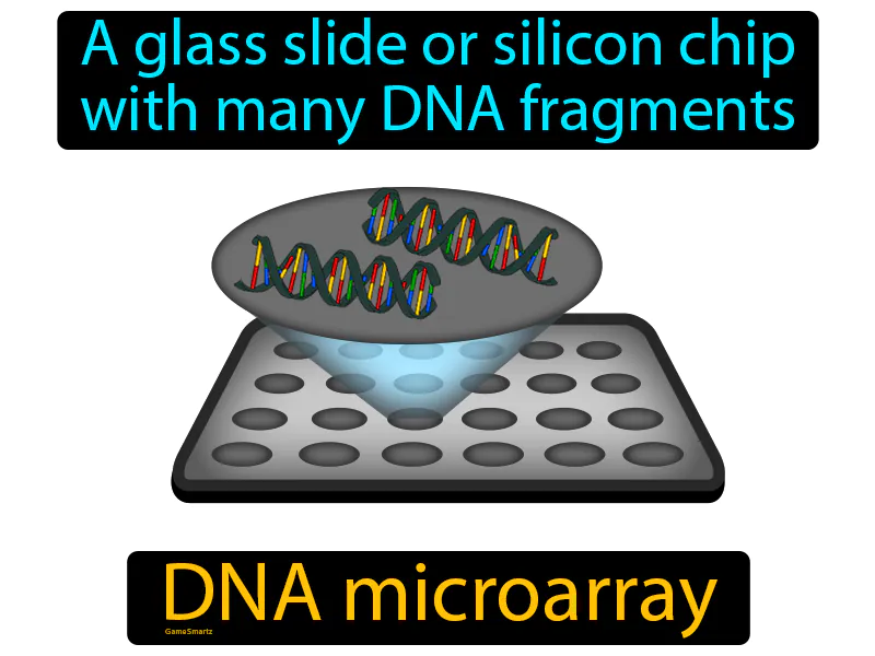 DNA microarray Definition