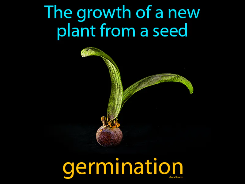 Germination Definition
