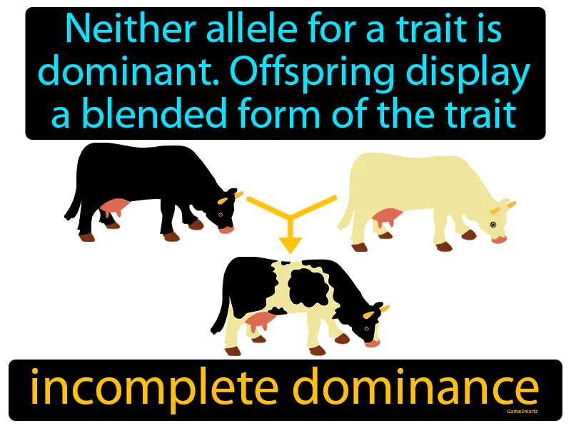 Incomplete dominance Definition