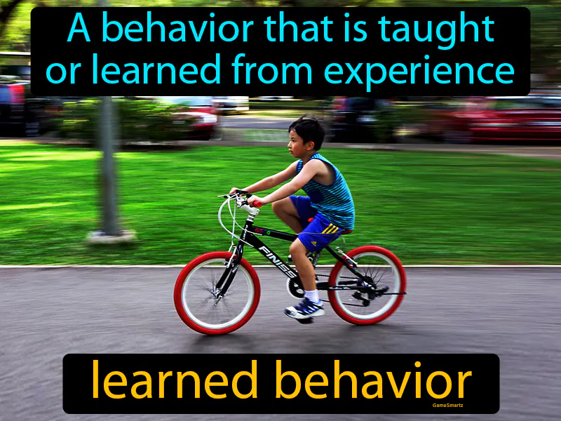 Learned Behavior Definition