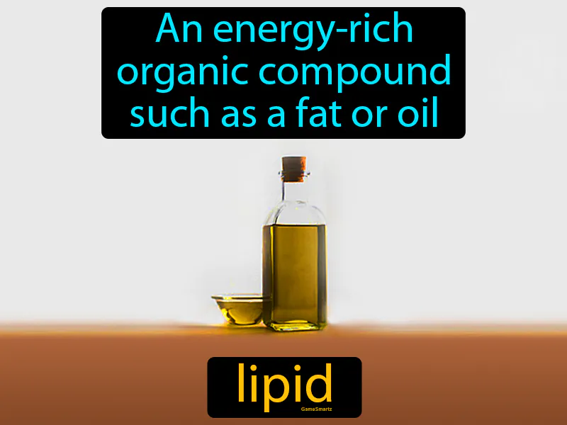 Lipid Definition