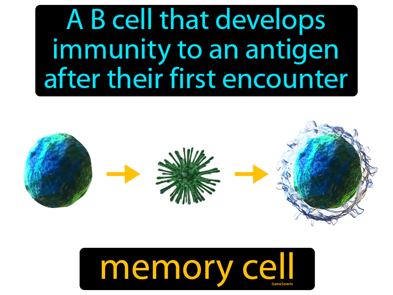 Memory cell Definition