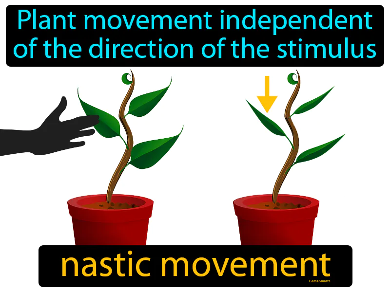 Nastic Movement Definition | GradesUp.gg