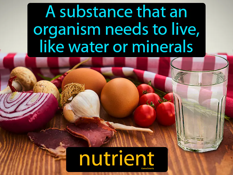 Nutrient Definition
