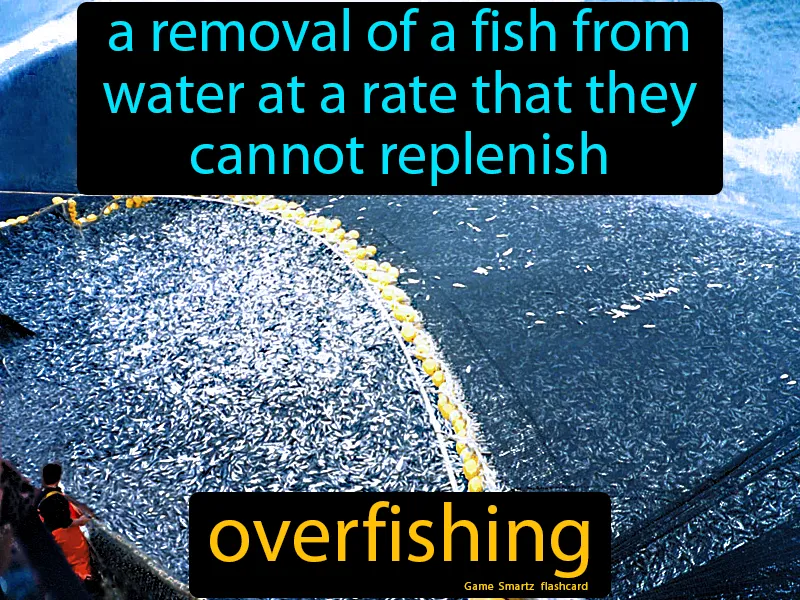 Overfishing Definition