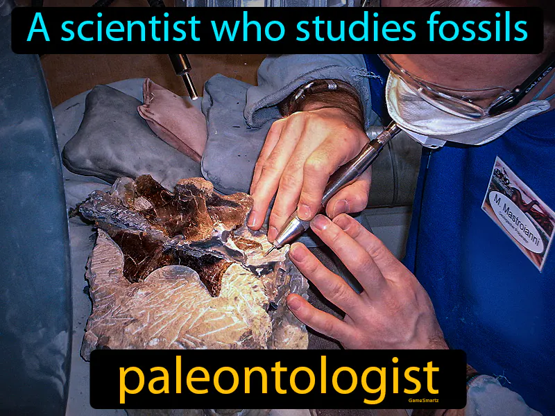 Paleontologist Definition
