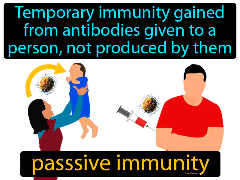 Passive immunity Definition