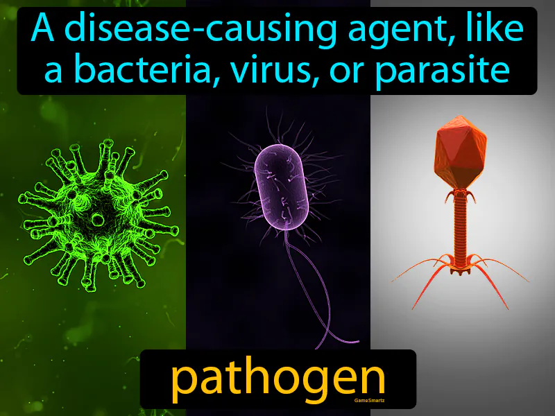 Pathogen Definition