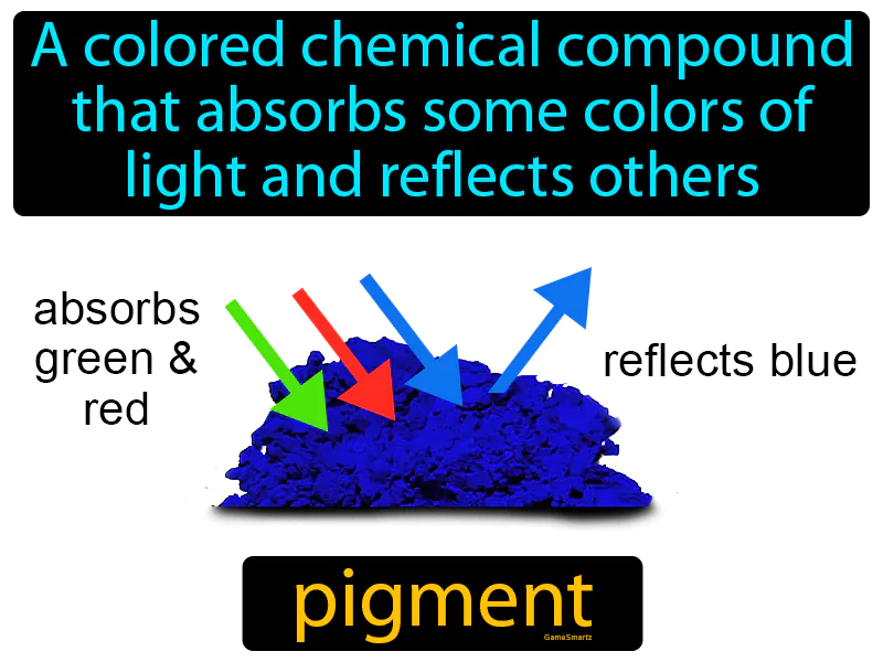 Pigment Definition