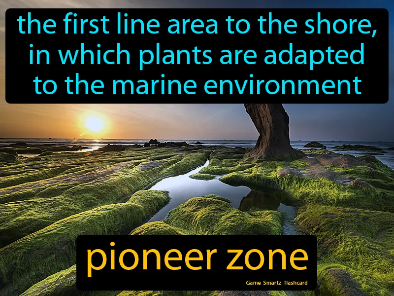 Pioneer Zone Definition