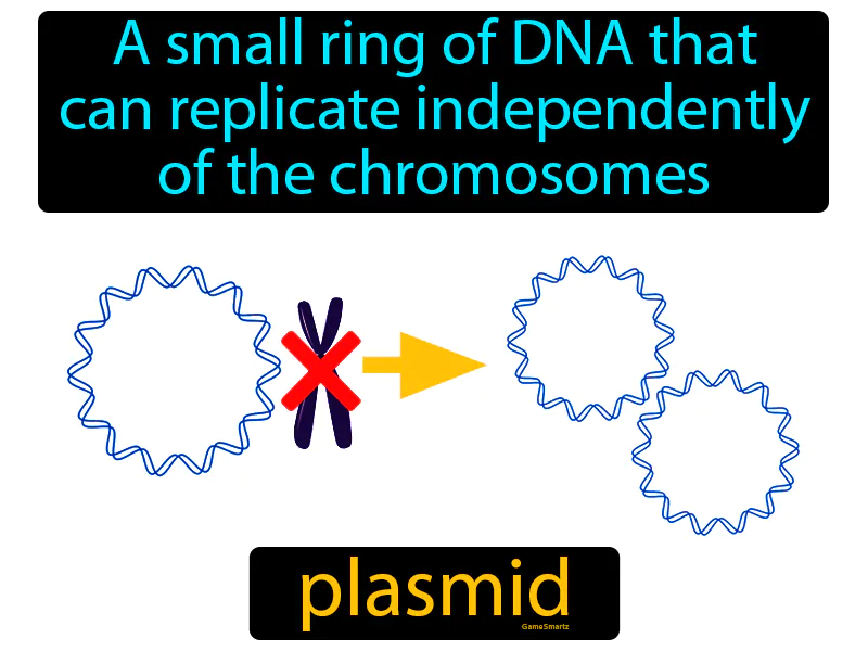 Plasmid Definition
