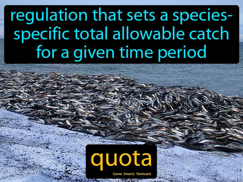 Quota Definition