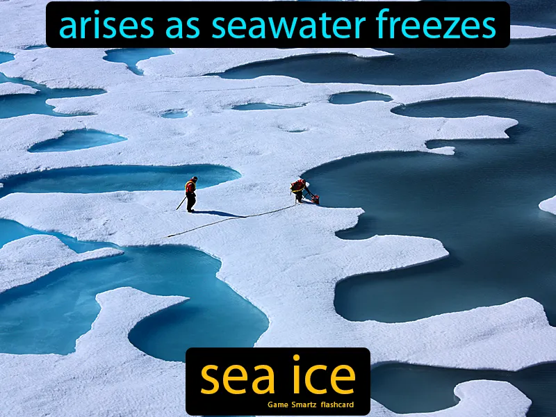 Sea ice Definition