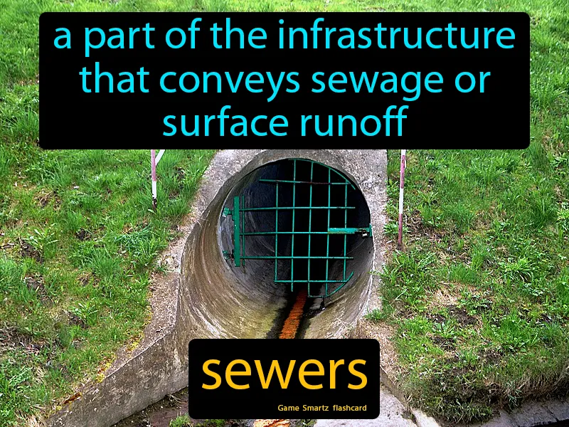 Sewers Definition