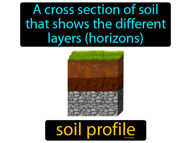 Soil profile Definition
